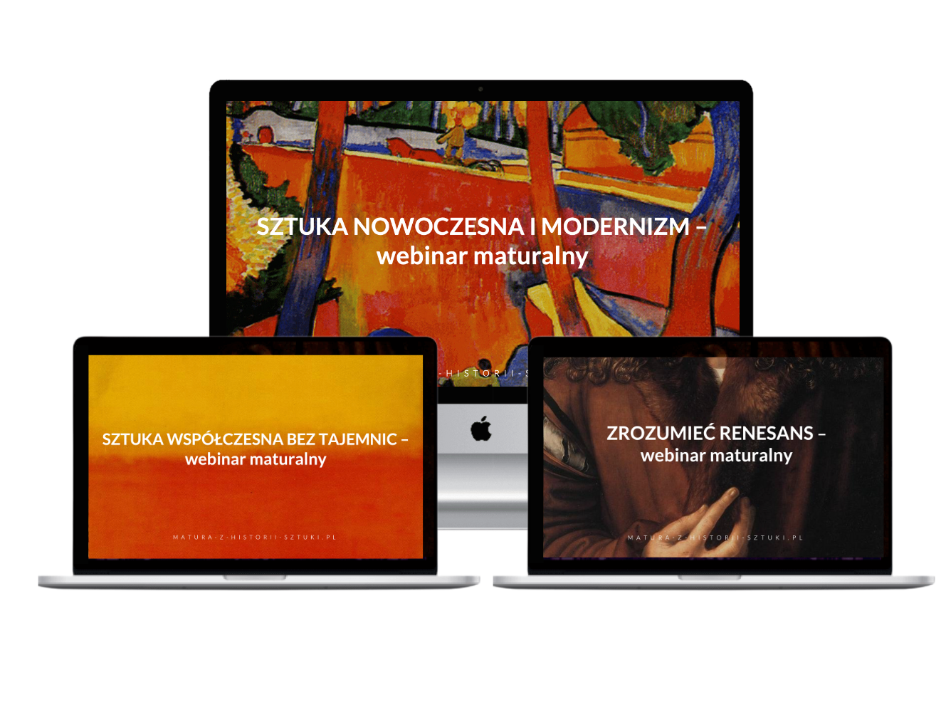 „Sztuka nowoczesna” + „Sztuka współczesna” + „Zrozumieć renesans” – zestaw 3 webinarów