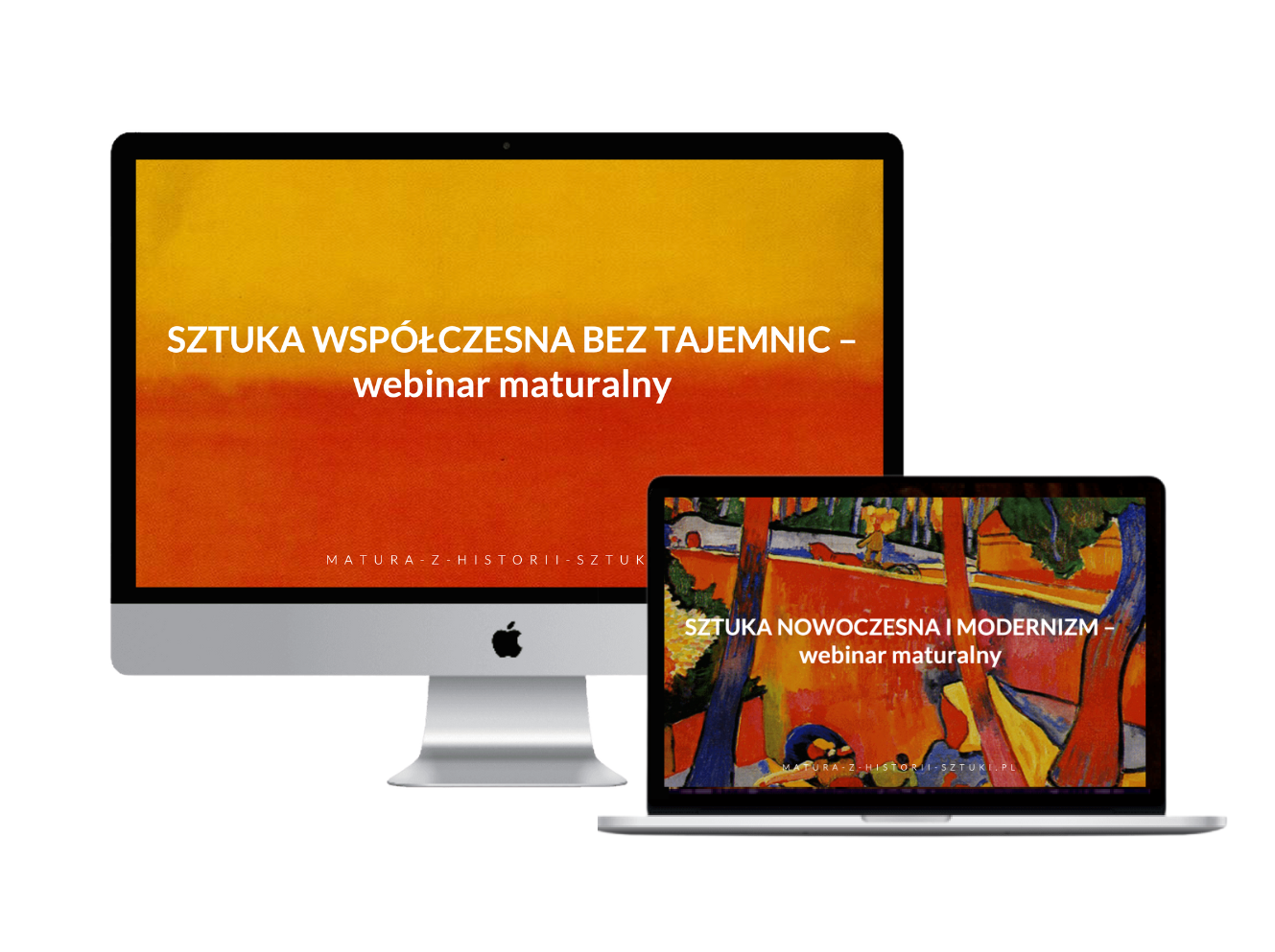 „Sztuka współczesna bez tajemnic” + „Sztuka nowoczesna i modernizm” – zestaw 2 webinarów